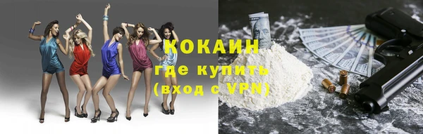 гидра Аркадак