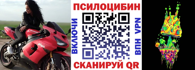 купить закладку  Богородицк  блэк спрут как войти  Псилоцибиновые грибы Magic Shrooms 